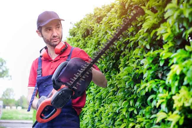 buy-redmax-hedge-trimmer-richardson-tx