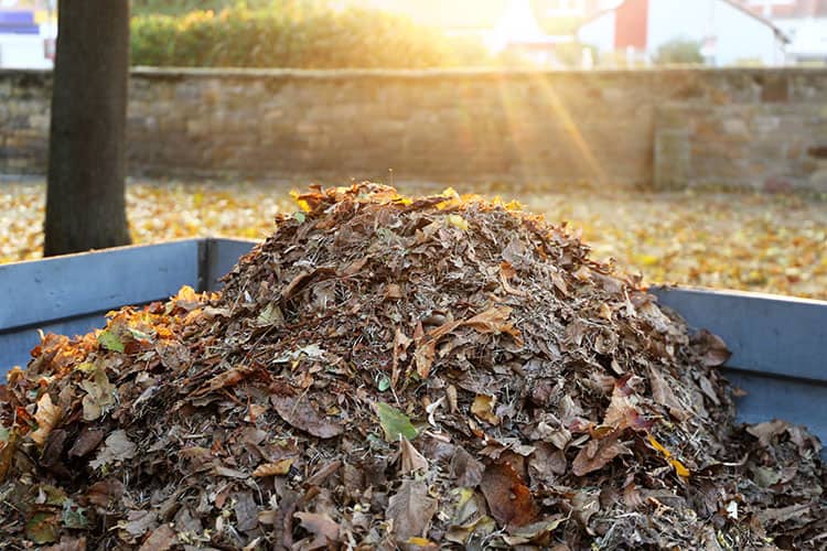 Shredder Vacs and Blowers for Fall Lawn Maintenance Mesquite Tx Outdoor Power Equipment