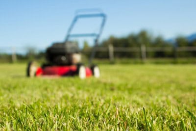 Spring Lawn Mowing