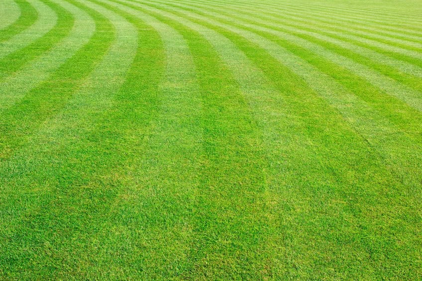 Best Lawn Care Tips - Spiral or Rows Rockwall