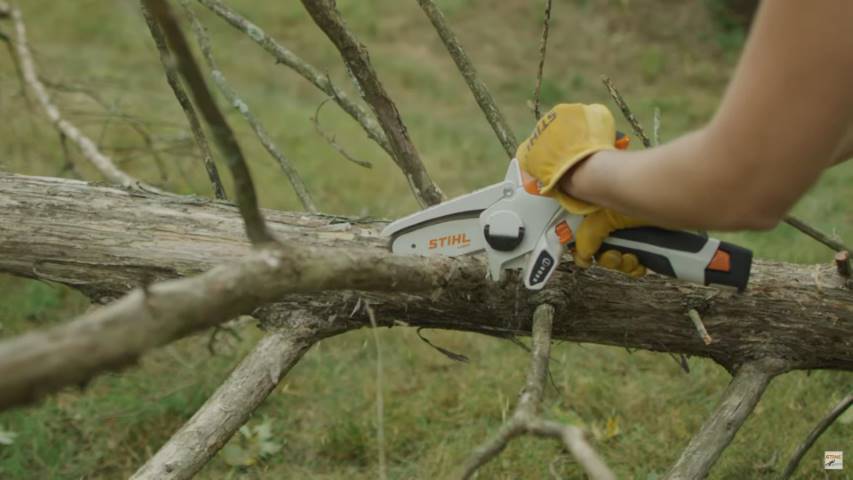 Stihl Gta 26 Battery Garden Pruner Set For Sale In Richardson