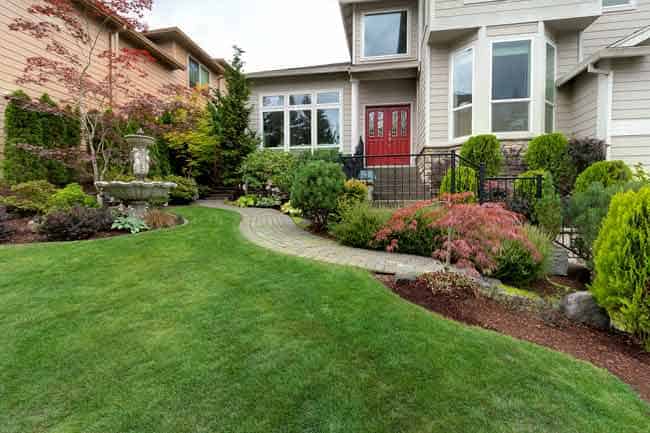 How-To-Choose-Herbicides-To-The-Type-Of-Weed-Lawn-Care-Richardson