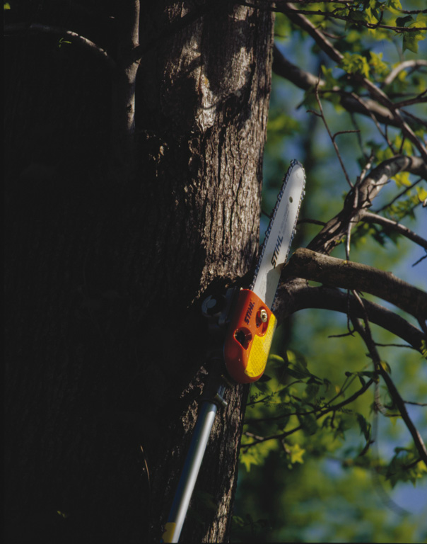 pole-pruners-dallas-mesquite-texas