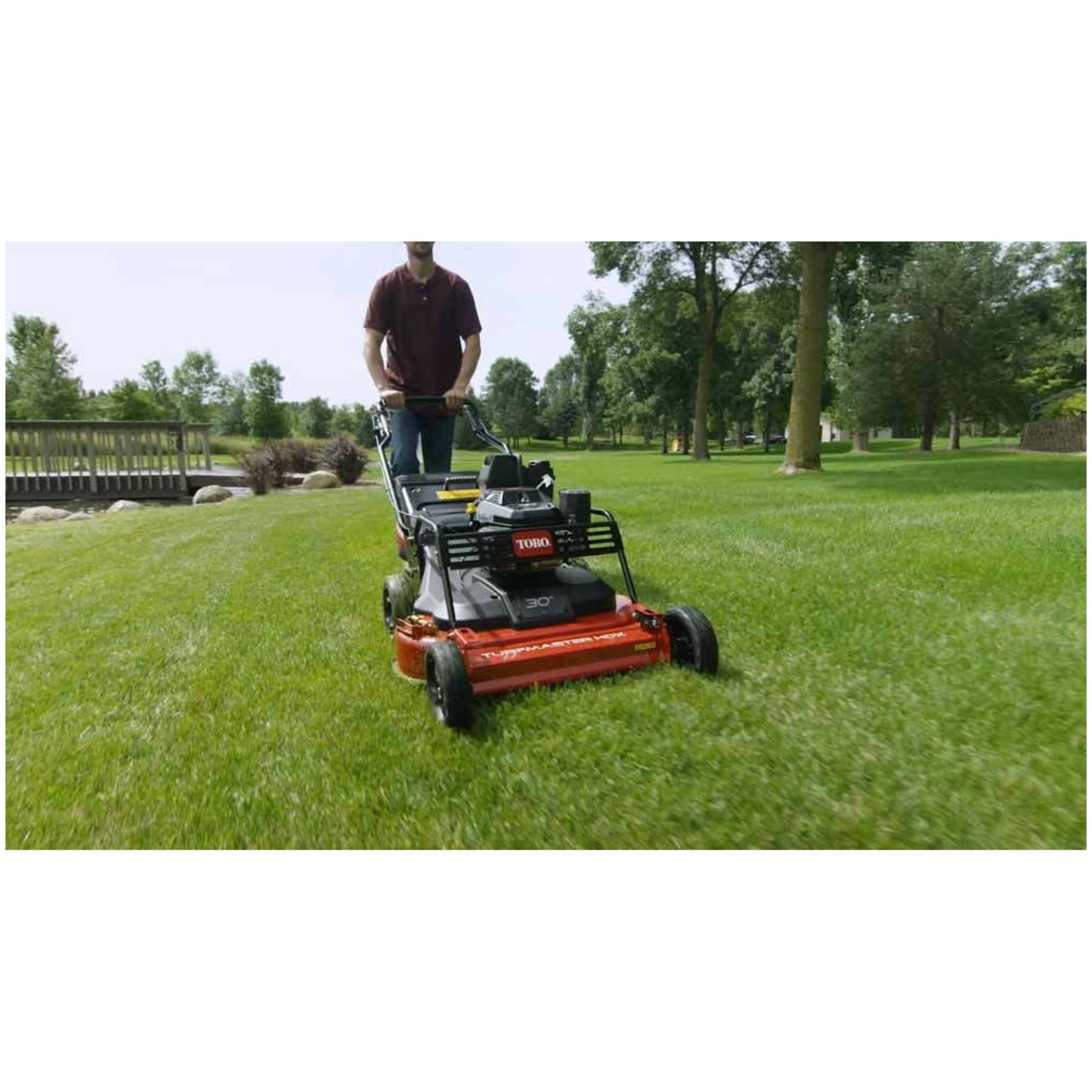 Toro 30