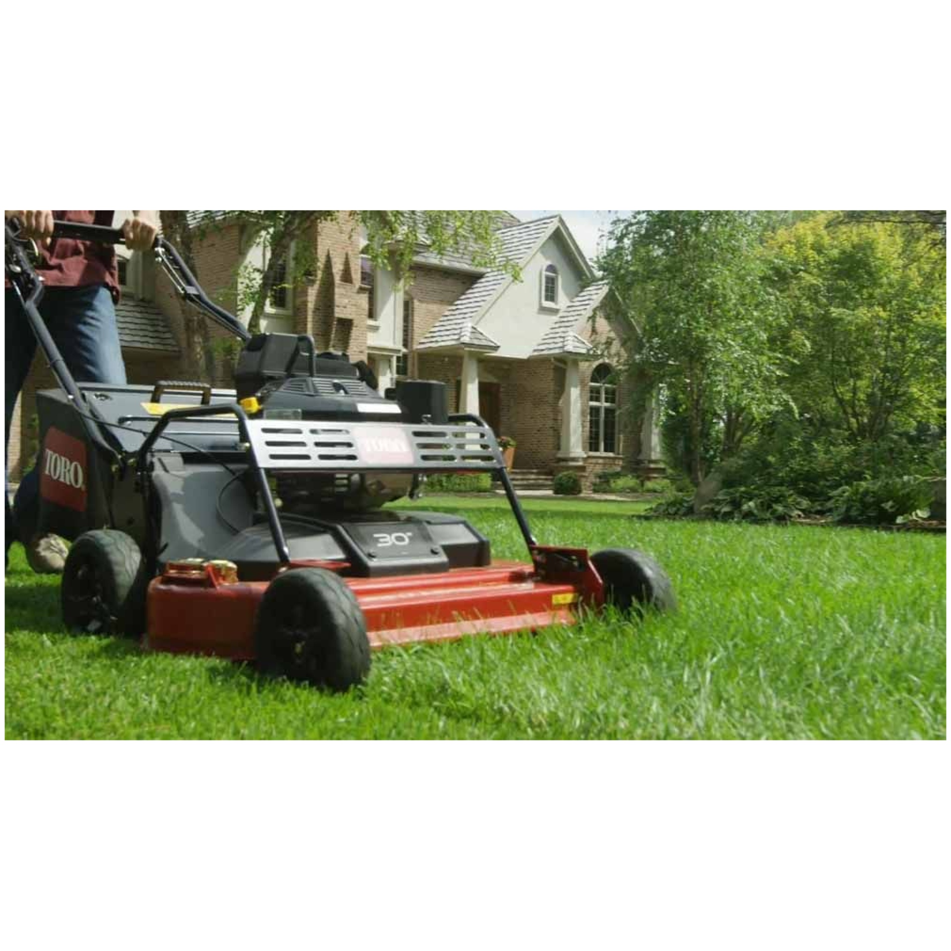 Toro 30
