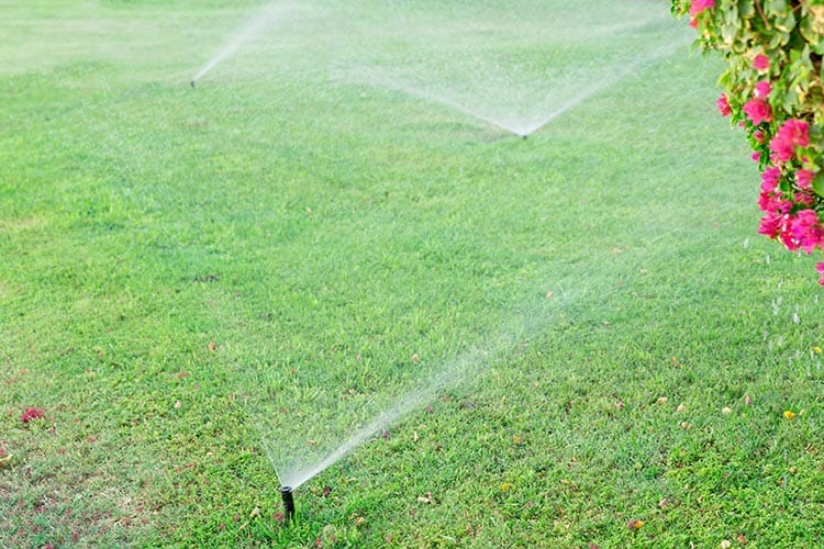 What Makes Smart Irrigation Systems So Smart Dallas Lawn Care