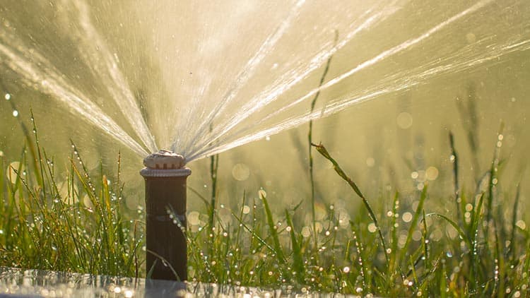 What Makes Smart Irrigation Systems So Smart Dallas Tx Lawn Care