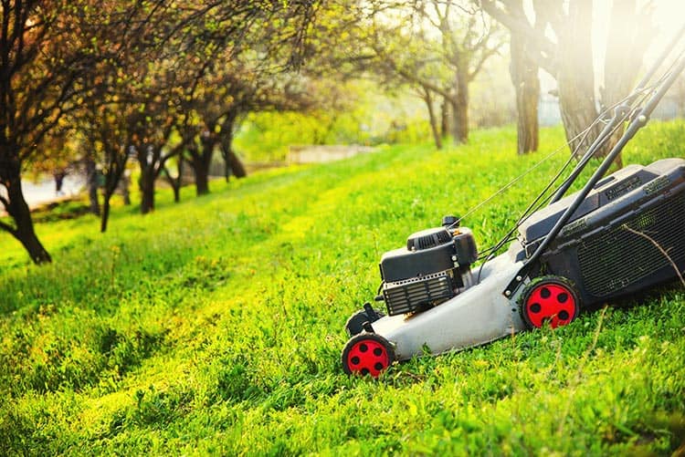 Whats the Best Mower for Hilly Yards Irving Lawnmowers