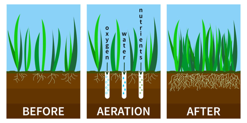 why is lawn aeration important