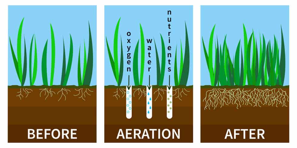 why is lawn aeration important