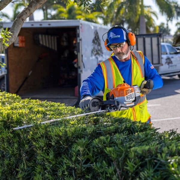 Stihl Hs87T 40 Hedge Trimmers For Sale 1